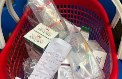 nanabea oforiwaa budu foundation